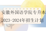 安徽外国语学院专升本2023-2024年招生计划汇总