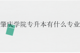 肇庆学院专升本有什么专业？招生计划多少？