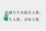 新疆专升本报名人数、招生人数、录取人数盘点