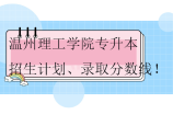 2023-2024温州理工学院专升本招生计划、录取分数线