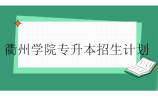 衢州学院专升本2023-2024招生计划汇总
