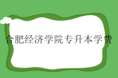 合肥经济学院专升本学费一年多少钱？21800-23800