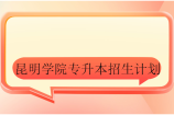 昆明学院专升本2021-2024招生计划汇总