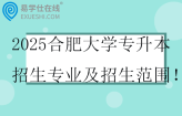 2025合肥大学专升本招生专业及招生范围