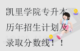 凯里学院专升本历年招生计划及录取分数线