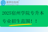 2025宿州学院专升本专业招生范围！！