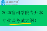 2025宿州学院专升本专业课考试大纲