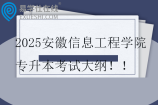 2025安徽信息工程学院专升本考试大纲