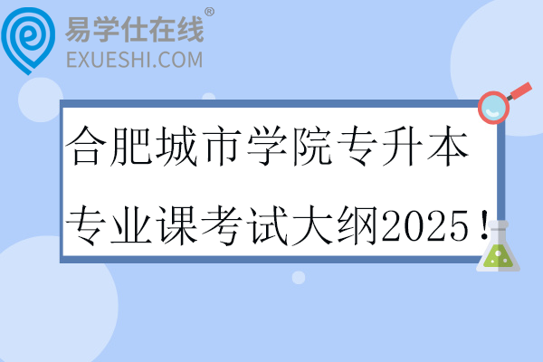 合肥城市学院专升本专业课考试大纲2025！