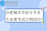 合肥城市学院专升本专业课考试大纲2025