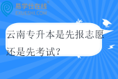云南专升本是先报志愿还是先考试？