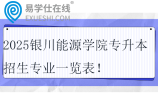 2025银川能源学院专升本招生专业一览表