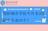 绵阳城市学院专升本2025招生专业33个