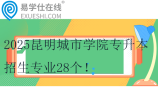 2025昆明城市学院专升本招生专业28个