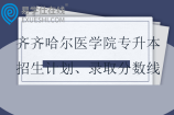 齐齐哈尔医学院专升本招生计划、录取分数线2021-2024
