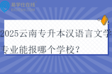 2025云南专升本汉语言文学专业能报哪个学校？