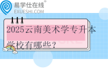 2025云南美术学专升本学校有哪些？