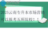 2025云南专升本市场营销可以报考五所院校！！