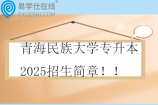 青海民族大学专升本2025招生简章！！