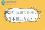 2025广西城市职业大学专升本招生专业