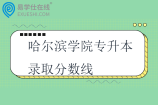 哈尔滨学院专升本录取分数线2021-2024年