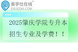 2025肇庆学院专升本招生专业及学费