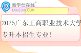 2025广东工商职业技术大学专升本招生专业