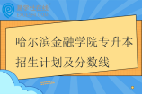 2021-2024哈尔滨金融学院专升本招生计划及分数线