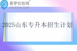 2025山东专升本招生计划表