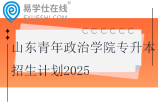 山东青年政治学院专升本招生计划2025