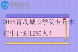 2025青岛城市学院专升本招生计划1285人