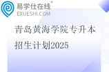青岛黄海学院专升本招生计划2025