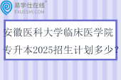安徽医科大学临床医学院专升本2025招生计划多少？