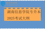 湖南信息学院专升本2025考试大纲