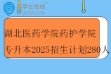 湖北医药学院药护学院专升本2025招生计划280人