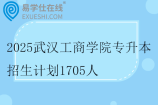 2025武汉工商学院专升本招生计划1705人
