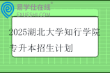 2025湖北大学知行学院专升本招生计划、专业对照表