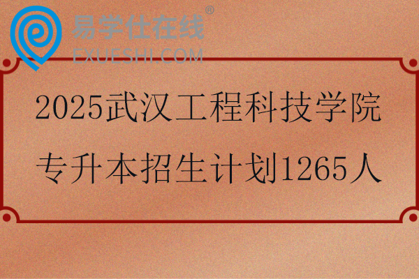 2025武汉工程科技学院专升本招生计划