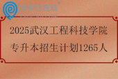 2025武汉工程科技学院专升本招生计划1265人