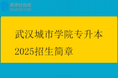 武汉城市学院专升本2025招生简章、考试科目、考试大纲
