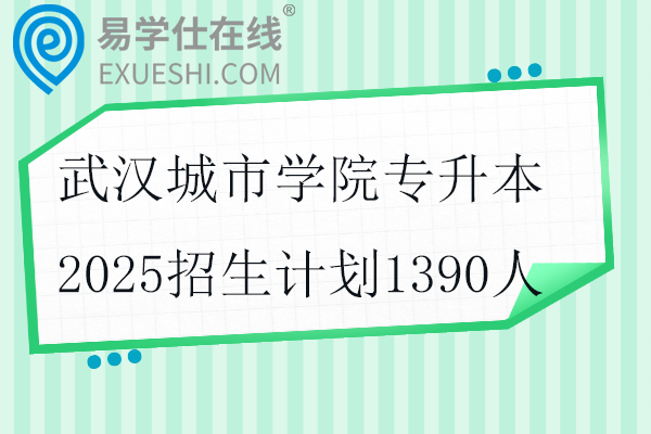 武汉城市学院专升本2025招生计划