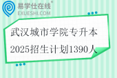武汉城市学院专升本2025招生计划1390人