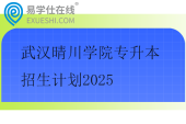武汉晴川学院专升本招生计划2025