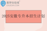2025安徽专升本院校及专业_招生计划汇总