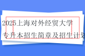2025上海对外经贸大学专升本招生简章及招生计划