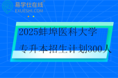 2025蚌埠医科大学专升本招生计划300人
