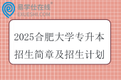 2025合肥大学专升本招生简章及招生计划