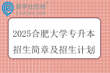2025合肥大学专升本招生简章及招生计划