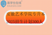 安徽艺术学院专升本2025招生计划300人