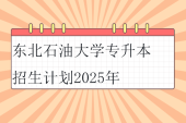 东北石油大学专升本招生计划2025年
